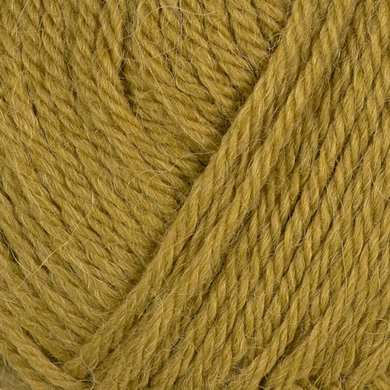 Alpaca Storm