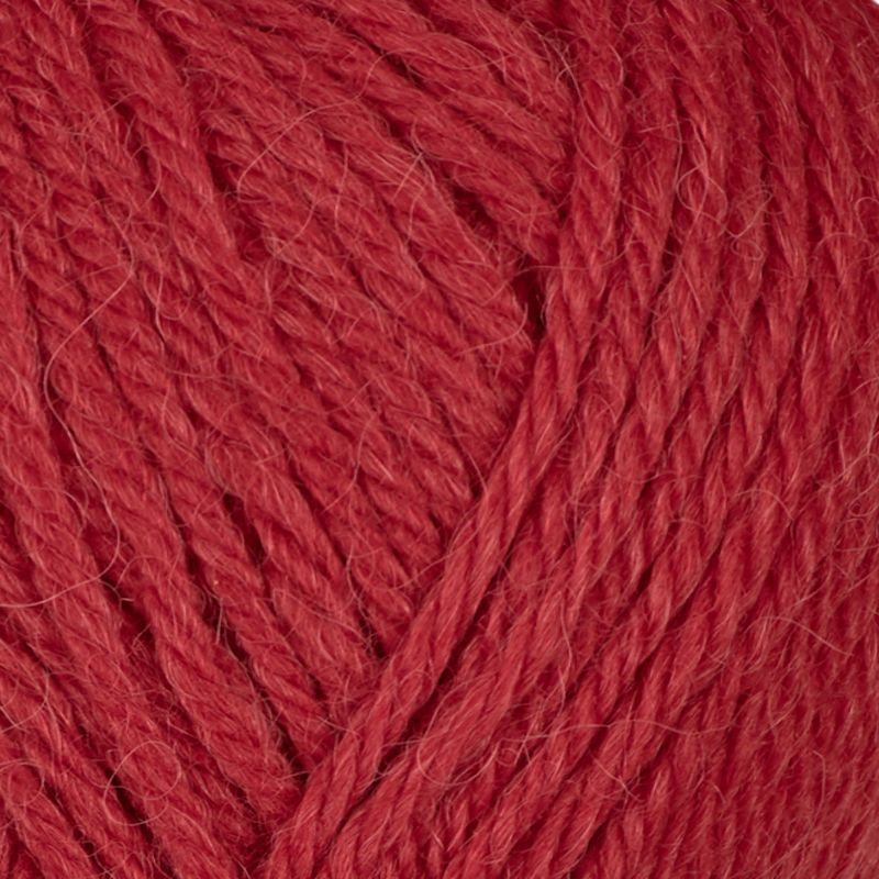 Alpaca Storm