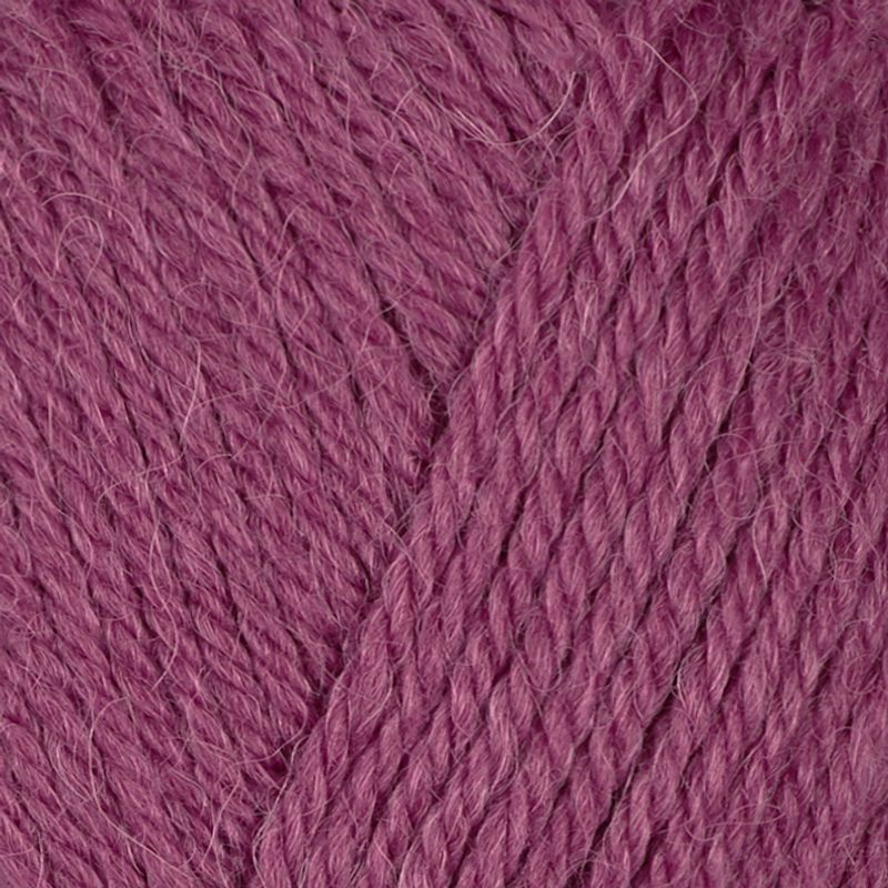 Alpaca Storm